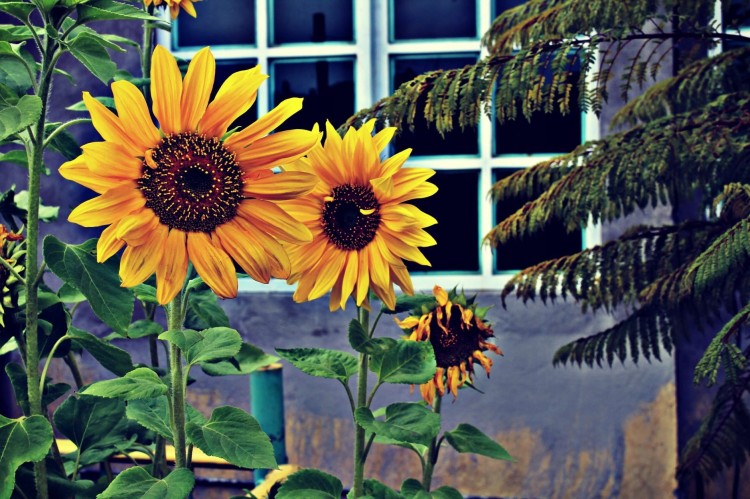 d778a90af990976b1679bdaa70889e3a.jpg