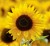 a9f938f1a03eadad006c69b54f36c12f.jpg
