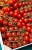 cc06dd0b17869ec06248c952cc8a29a1.jpg