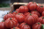 d429c82d5ff1f664c10be8d03a967a3f.png