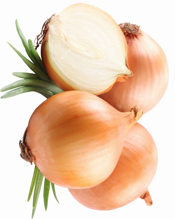 ee1efef3f1a25cc2f4b3e55c05fc541b.jpg