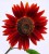 1b247e595ef9c8079f3b53b6286df341.jpg
