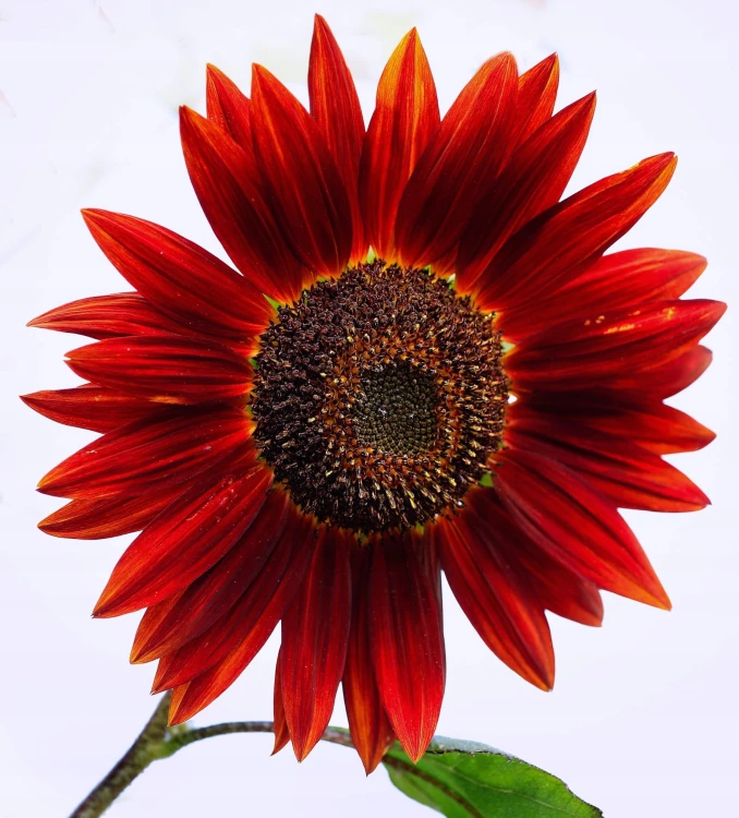 1b247e595ef9c8079f3b53b6286df341.jpg