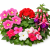 d5b1622e9b39829e9112642ffbff1a37.png