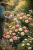 4367f95344305428debc724261960af8.png