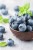 5ed95a4093dab231546d4ebf515baaa0.jpg