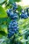 252d730e68b067cc7fbbcda0424fad0b.jpg