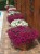 7d6fe66b4f45945dd8424ba8cdaed144.jpg