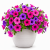 c01397f6f120e59eb6301ecb36331dfe.png
