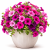 7d597c6f2448027dca0b9028feb93320.png