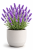 4ca12473716c205481c76d2daa456217.png