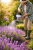 045264efed9c3accc030d428b25f637b.png